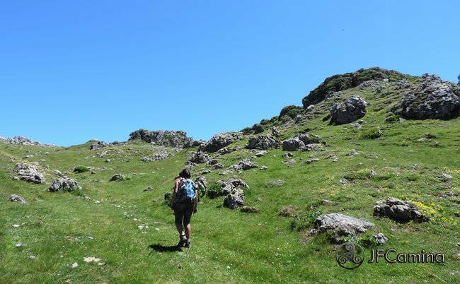 tarambicu
