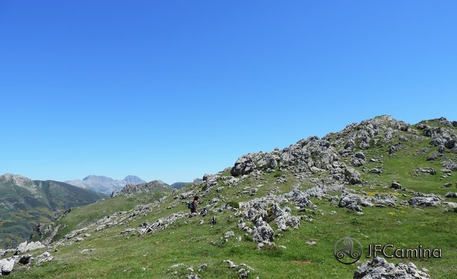 tarambicu