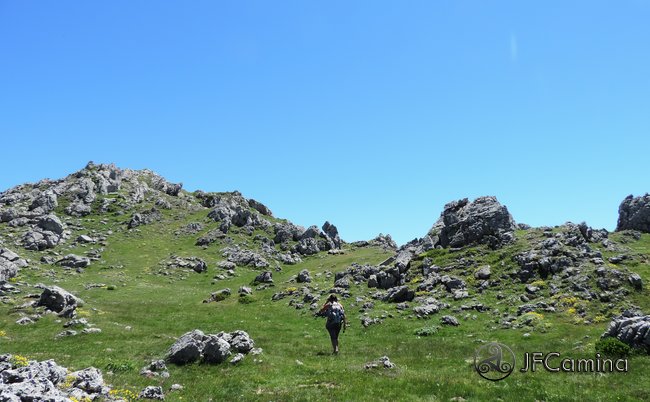 tarambicu