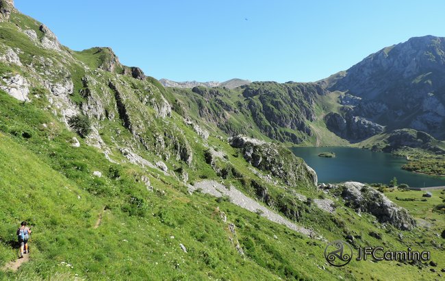 tarambicu