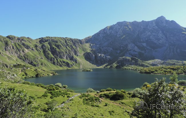tarambicu